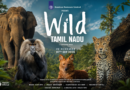 தமிழ்நாட்டின் அரிய பல்லுயிர் சூழல் இப்போது வெள்ளித்திரையில் : ‘வைல்ட் தமிழ்நாடு’ வனவிலங்கு ஆவணப்படம்! தமிழ்நாட்டின் அரிய பல்லுயிர் சூழல் இப்போது வெள்ளித்திரையில் : ‘வைல்ட் தமிழ்நாடு’ வனவிலங்கு ஆவணப்படம்!